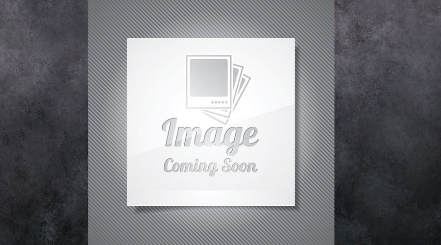 image coming soon